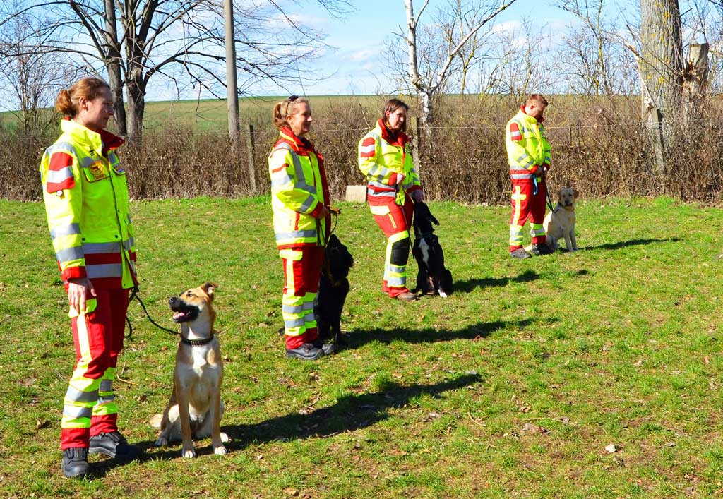 Freiwillige des Monats im ASB | Herausragendes ehrenamtliches Engagement aus Schleswig Holstein Rettungshunde3.jpg