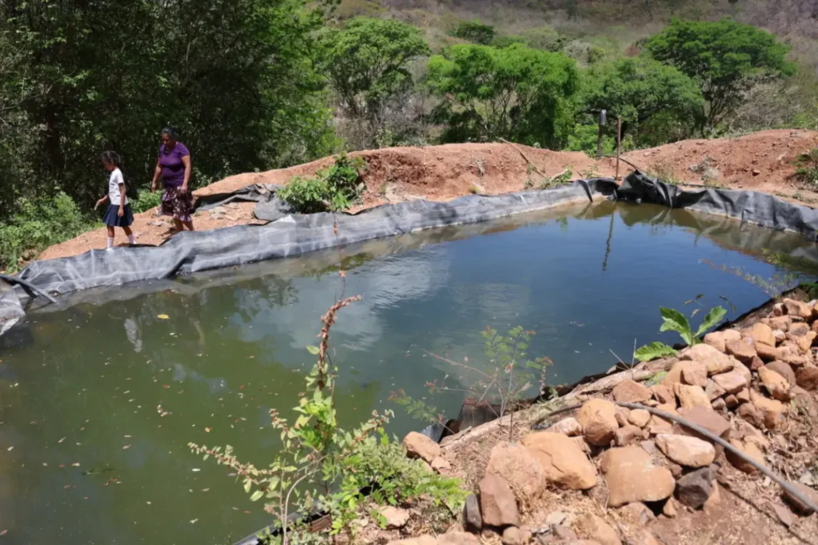 Water harvesting work (1).webp